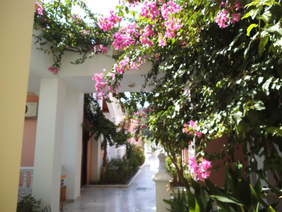 Alkyon Hotel Kokkari Extérieur photo