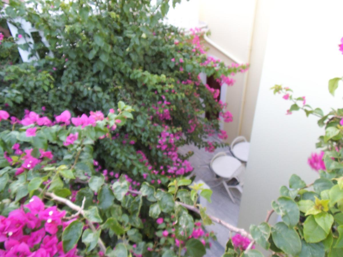 Alkyon Hotel Kokkari Extérieur photo
